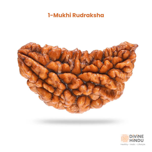 1 mukhi