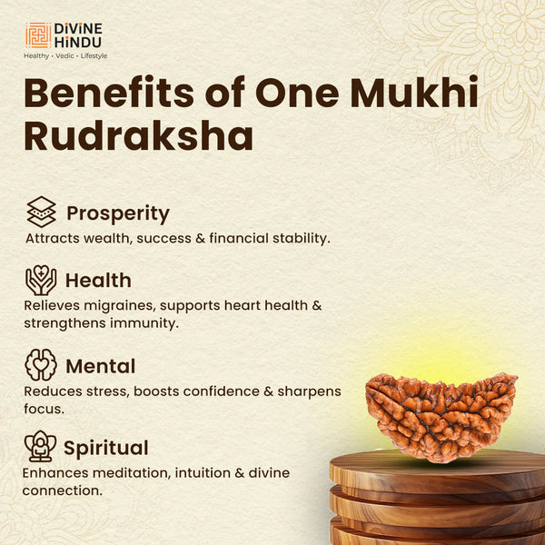 1 mukhi
