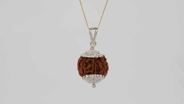 7 Mukhi Rudraksha