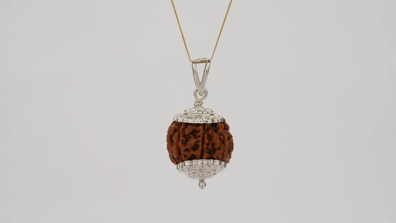 7 Mukhi Rudraksha