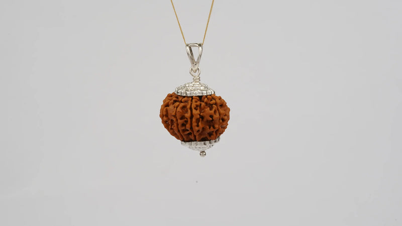 9 Mukhi Rudraksha