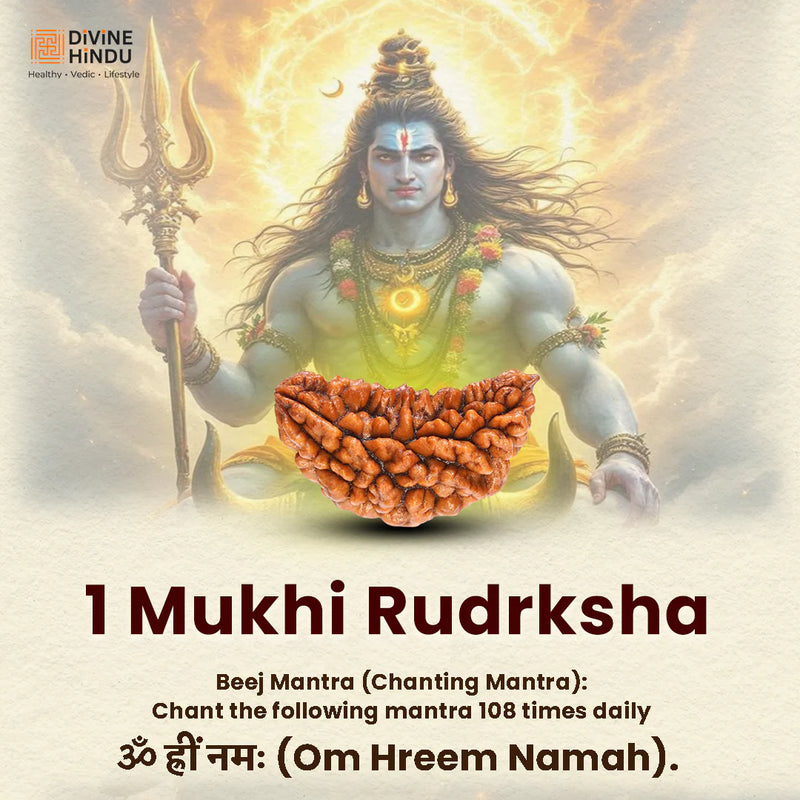1 mukhi
